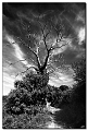 40D_6177 cs cadre2